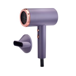 China Plastic Electric Hair Dryer With Ionic Folded Function OEM ODM wholesale