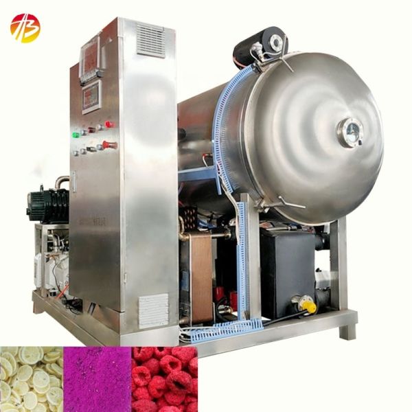 High Productivity 200kg per batch Honey Freeze Dryer Machine with Easy Operation