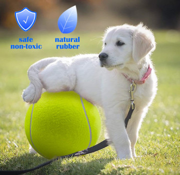 9.5 Inch Rubber Dog Tennis Ball With Inflating Needles