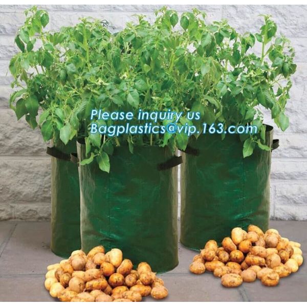 customized waterproof green pe car protector,environmental firendly, car boot liner, reusable, durable,economical,sample