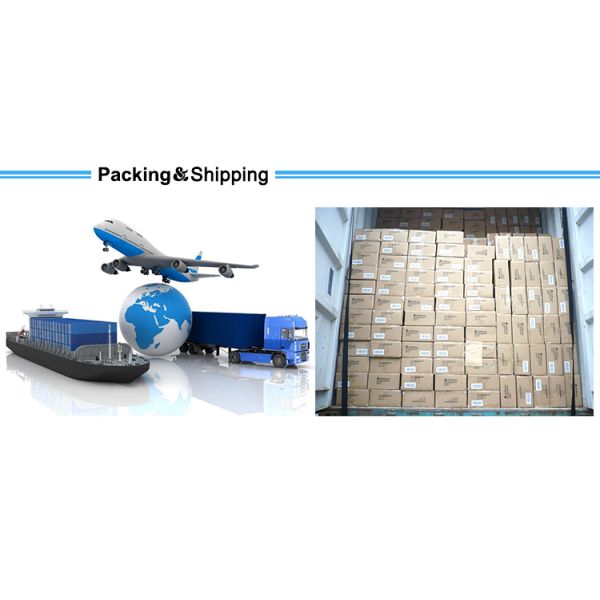 Bike Tail Red Bicycle Rear Bike Light Rechargeable 15 Lumen For Cycling IPX4