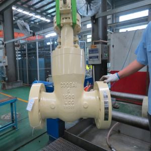 Gate valve, API600