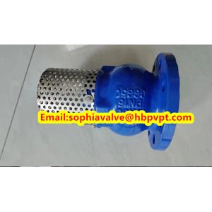 DN80 GGG50 PN16 cast iron flanged foot valve