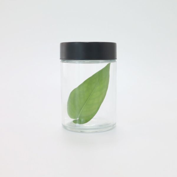 Transparent Childproof Glass Jars with Screw Lids for Airtight Weed Storage