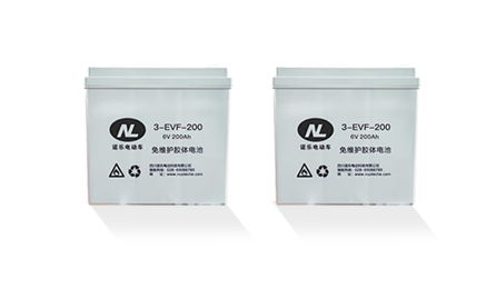 User-Friendly Electric Passenger Cars with Multiple Tire Sizes and Front Rear Disc Brake System