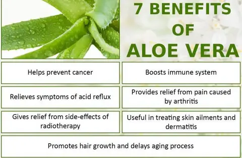 Aloe vera extract benefits