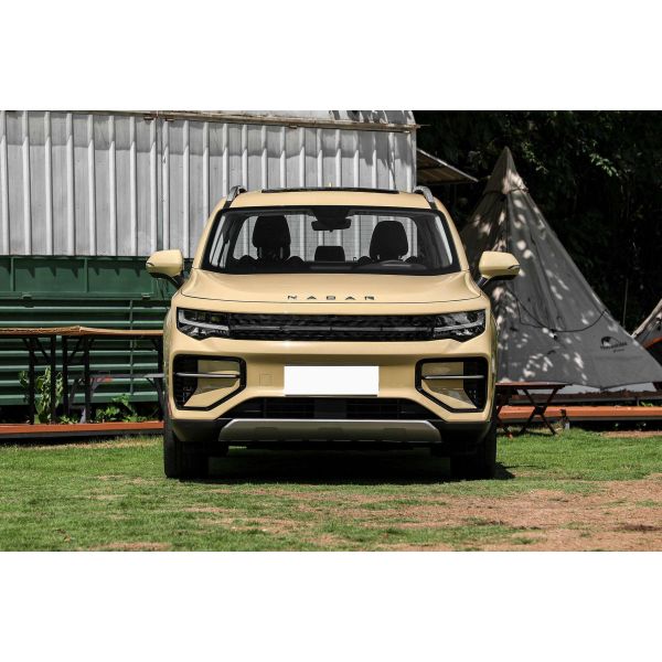 Geely Radar RD6 400S Pickup EV Car RWD Drive 400Km Electric Pick Up Truck