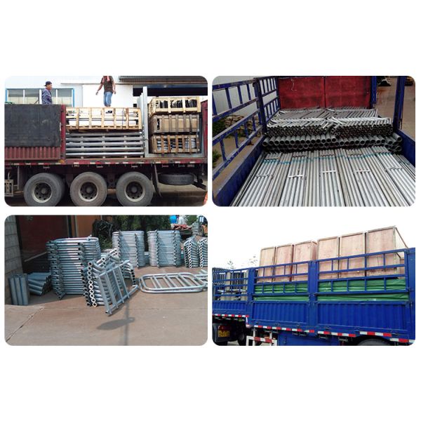 1.2m/Cow Cow Head Lock