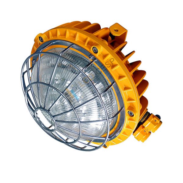 220V LED Security Flood Light