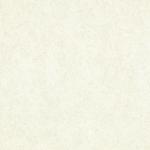 600x600mm Tulip series double loading,polished granite floor tiles,light color