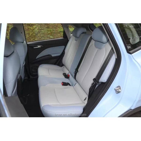 Max Speed 120 Km/h Left Steering 's Durable and Energy Small SUVs with Long Endurance