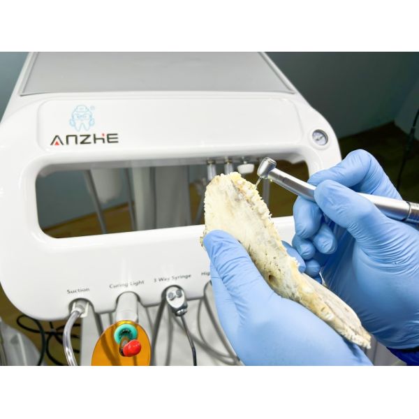 Veterinary Dental Equipment Pet Tooth Treatment Machine Move At Will Vet Use Pet Dental Treatment Unit With Compressor