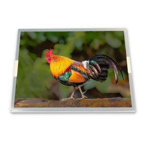 China M150XN07 V2 M150XN07 V.2 tft lcd panel 15 Antiglare 1024*768  CCFL 60Hz 20 pins TFT LCD display on sale