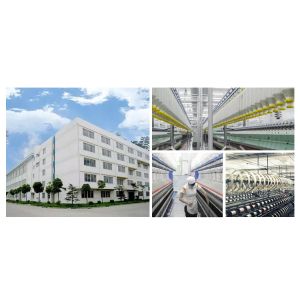 Xian Warrens Business Technology Co., Ltd.