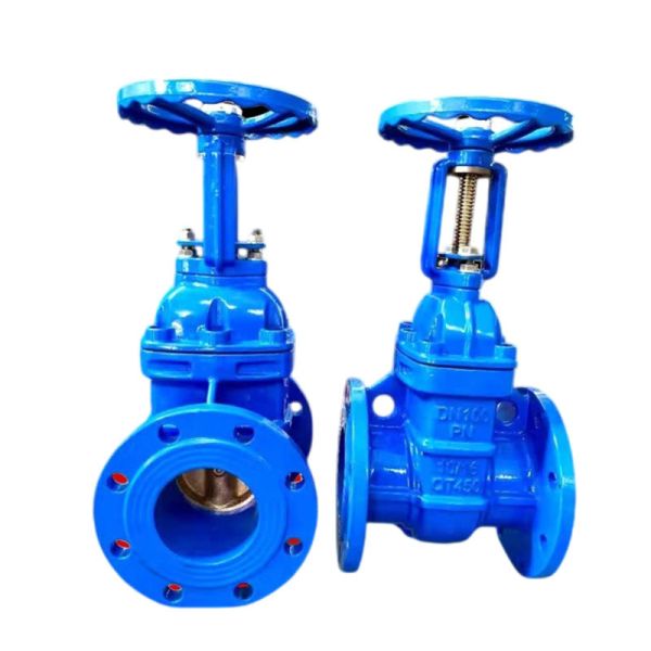 Quality Rising Stem Flange Gate Valve Soft Sealed Ductile Iron for Sewage Pipelines Suitable for sale