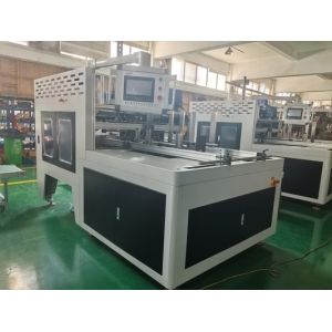 Fully Automatic Carton Processing Machine Fruit/Vegetable Packaging Boxes And