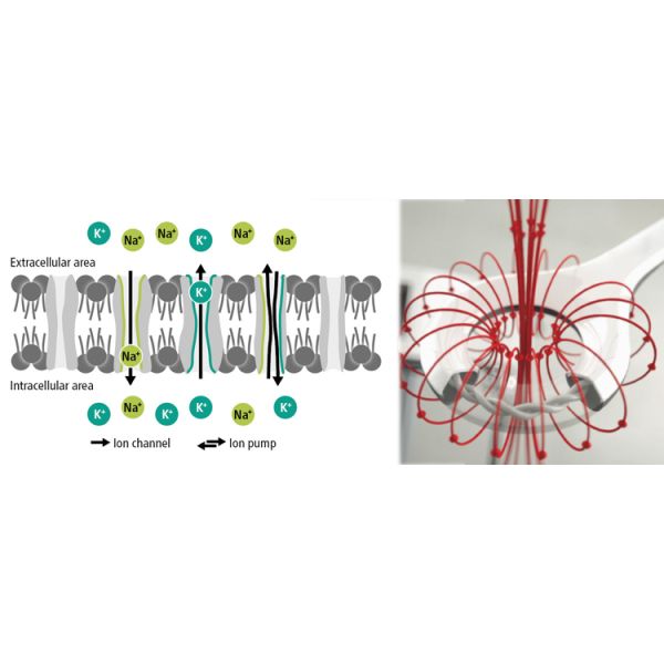 18CM Work Depth Physiotherapy Machine Extracorporeal Magnetic Transduction Therapy Device