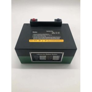 China Lithium LiFePO4 ODM Battery Rechargeable For Golf Cart Trolley wholesale