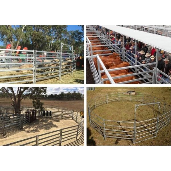 Oval Bar 6ft High Heavy Duty Galvanized Corral Panels For Cattle Feeding