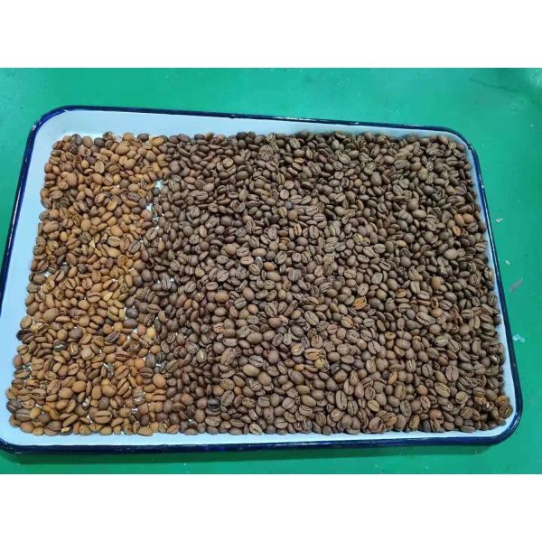 240V 50Hz Roasted Coffee Bean Sorting Machine high speed processing Chip
