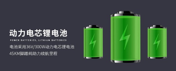 Fork Suspension 4.0 Fat Tire 350 Watt MTB Electric Bikes