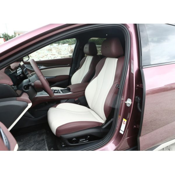 BYD Plug In Hybrid 5 Seater Sedan Vehicle Automobile Black White