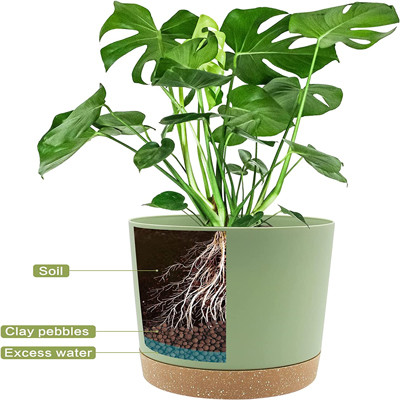 Indoor Plastic Green Plant Pots With Drainage Holes And Removable Base