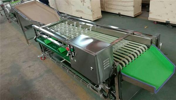 cherry grading machine,dates sorting machine,waxberry sortor,plum sorting