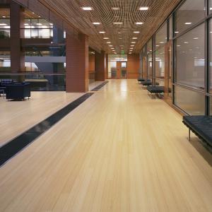 China Hospital Eco Forest Holland Hs Morningstar Cafe Noir Kitchen Shelf Multilayer Bamboo Flooring on sale