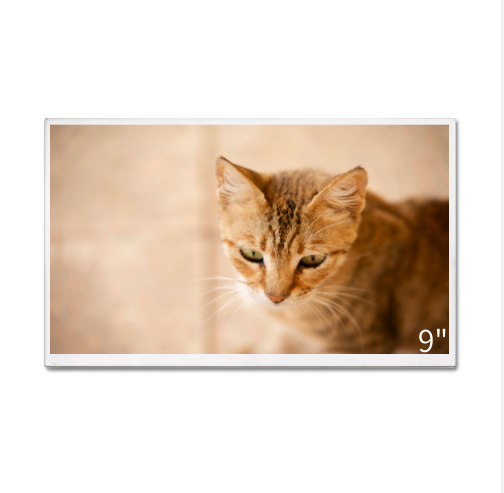 Durable 9-Inch Original LCD Display 800nits HD 1280*720 Panel with 60PIN LVDS