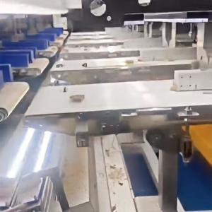 China Precision Intelligent Walnut Kernel Sorter AI-powered Grading Machine Custom Design Capability Dimension/mm 9840*3146*1860 wholesale