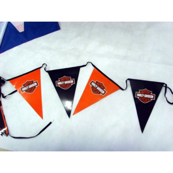 Polyester Bunting Triangle Pennant Banner Small Size Installed At Heavy Duty Rope