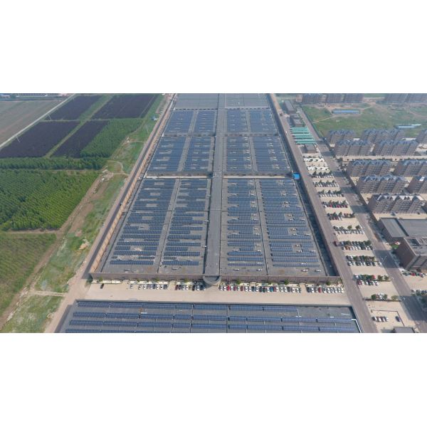 72 Cells Polycrystalline Residential 320 Watt Solar Panel