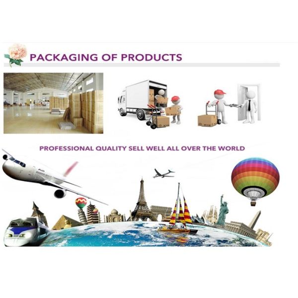 15ml 30ml 50ml 100ml Professional Empty Luxury Wholesale Plastic Lotion Bottles Cosmetic Bottle