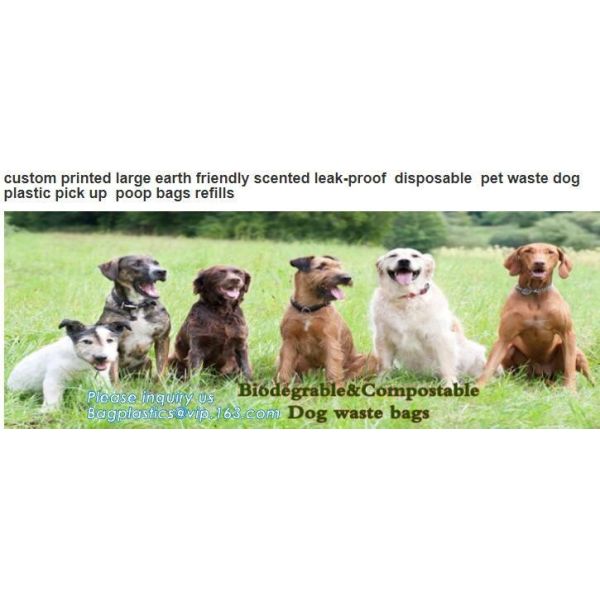 Biodegradable Pet Waste Bag for Dog Poop, Pet Product Biodegradable Dog Waste Bag/ Dog Poop Bag with Dispenser, bagease