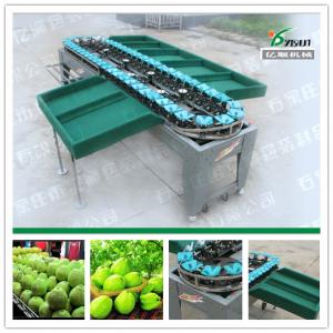 China Guava/Apple/Pear/Mango/Tomato/Potato weight grading machine wholesale
