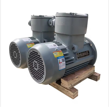 Industry Application Asynchronous Three Phase Flame Proof Electric Motor