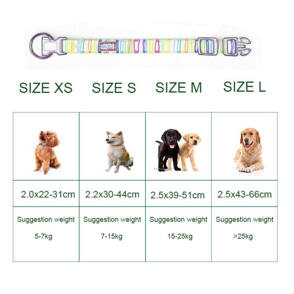 Cute Rainbow Pet Dog Collar Leash Set Nylon Custom Logo Fashion Sublimation