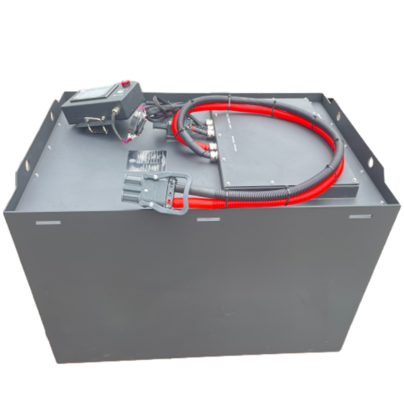Lithium LiFePO4 Forklift Battery Pack With BMS Metal Box REMA And SB Plug