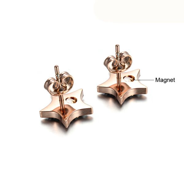 RainSo Fashion Stainless Steel Rose Gold Star Shape Stud Earrings