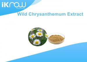 China Natural Wild Chrysanthemum Extract / Flos Chrysanthemi Indici Extract wholesale