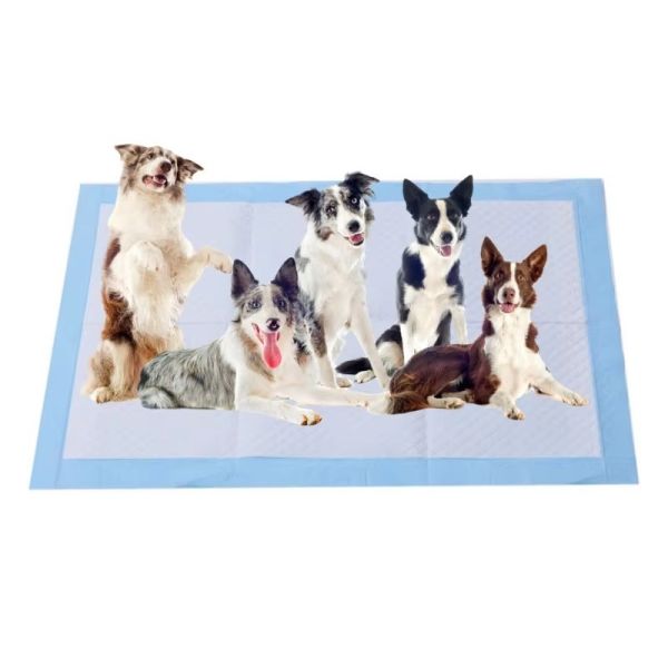 Super Absorbent Anti Slip Dog Training Pads Wholesale