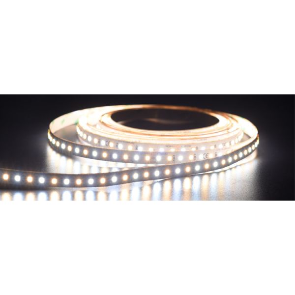 Dynamic Tunable White LED Strip Light 12V Waterproof