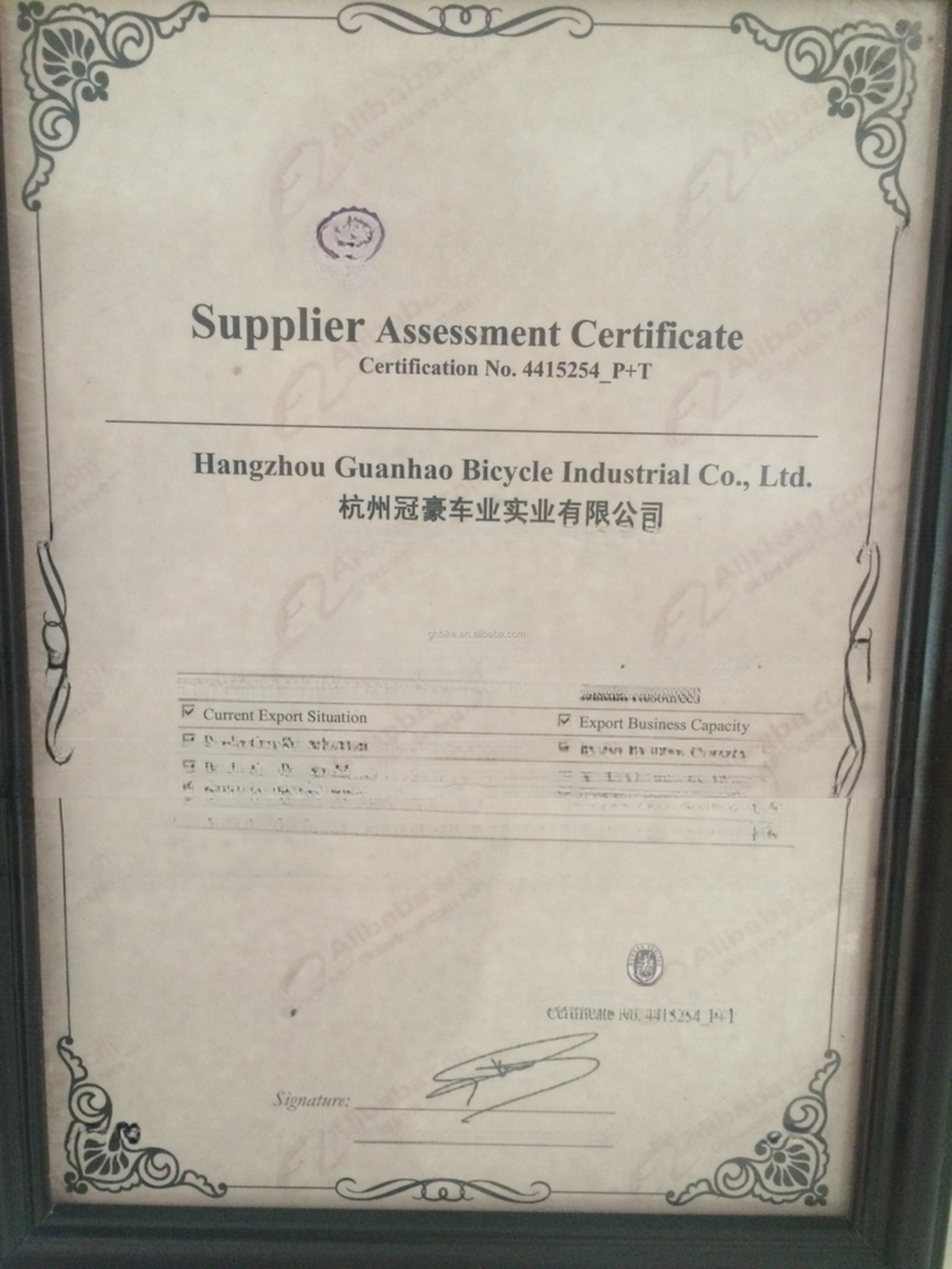 24" Rear Hub Motor Steel Frame 7speeds 36V350W 35KM/H Unisex Adult Electric Tricycles