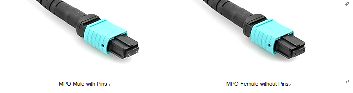 8F OM4 MPO Trunk Cable MPO Female to SC UPC 8F 50 / 125μm Fanout 2.0mm Magenta 5M Type B