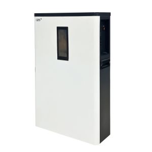 Wall-mounted 48V 51.2V100Ah LiFePO4 Lithium Ion Battery 5KWh Household Energy