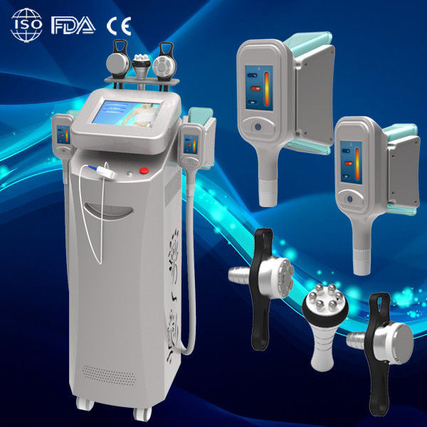 Quality 5 handles cryolipolysis machine / fat freezing machine / cryolipolysis slimming machine for sale