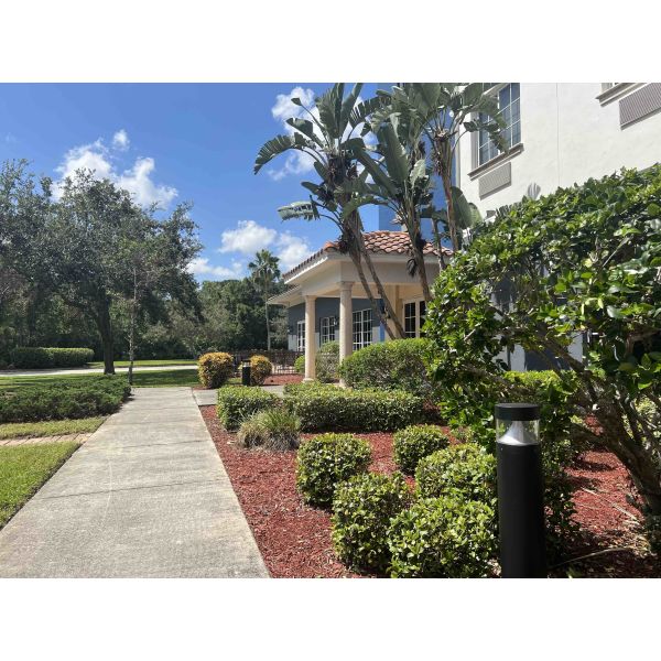 Waterproof IP65 Garden Lawn Light