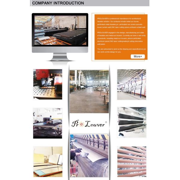 Perforated Aluminum Wall Cladding Panel Sheet Used for Facade Wall