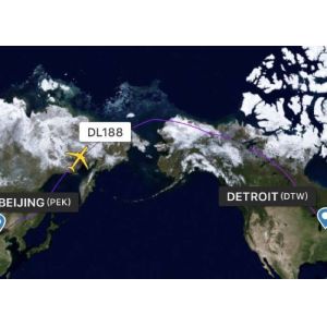 China Experienced International Cargo Delivery Service Freight Shipping Companies wholesale